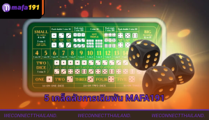 5 เคล็ดลับการเดิมพัน Mafa191 Thailand